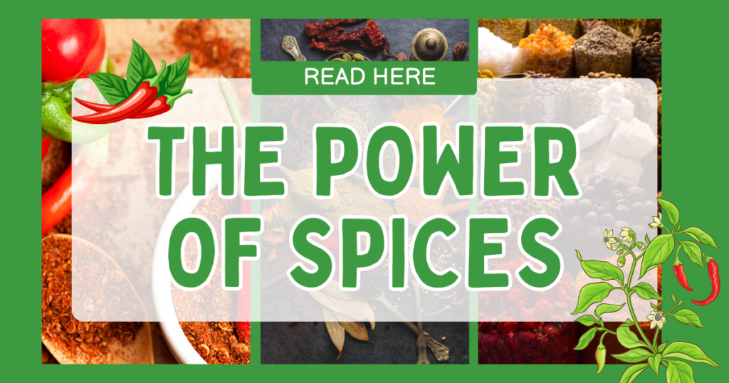 🫚 Spice Up Your life | The Power of Spice