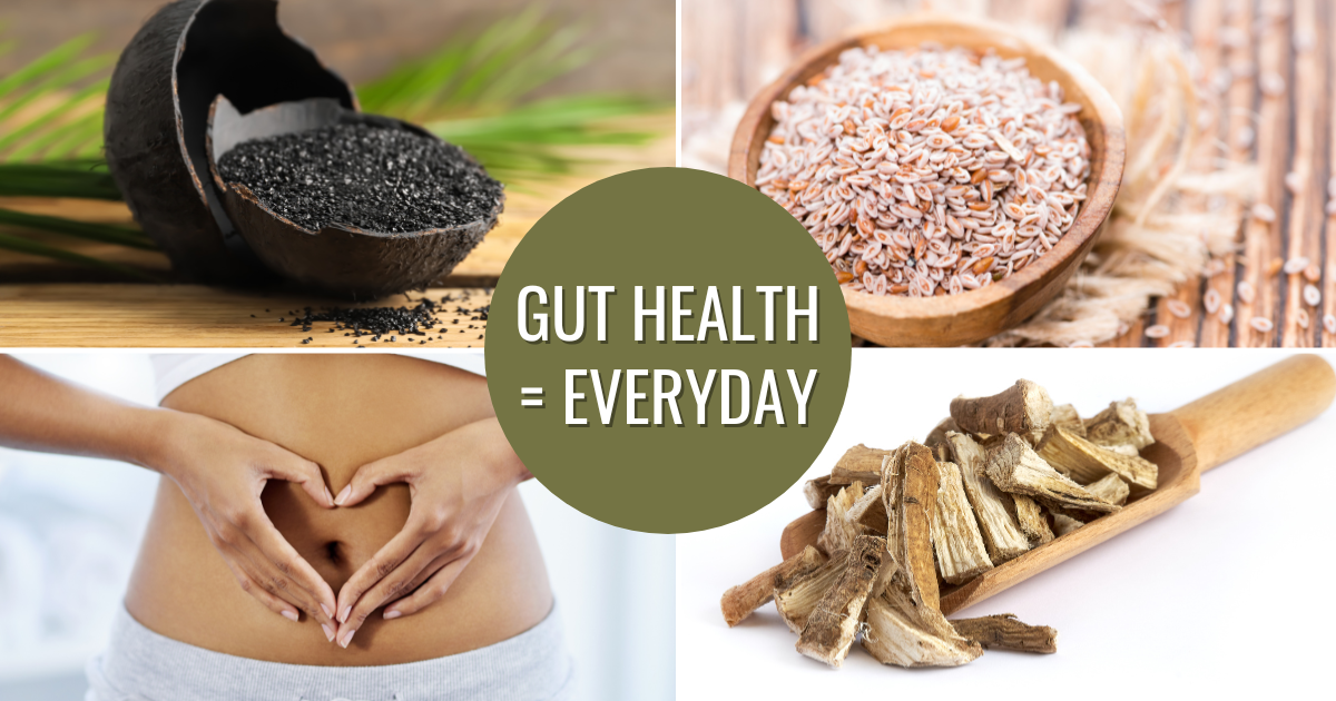 gut health solutions 1