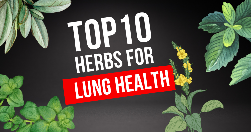 🫁 Breathe Easy: The Top 10 Herbs for Lung Health