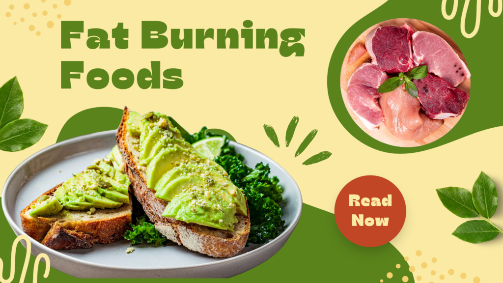 🥩 “Fuel Your Fat-Burning Furnace: The Best Foods to Boost Your Metabolism”