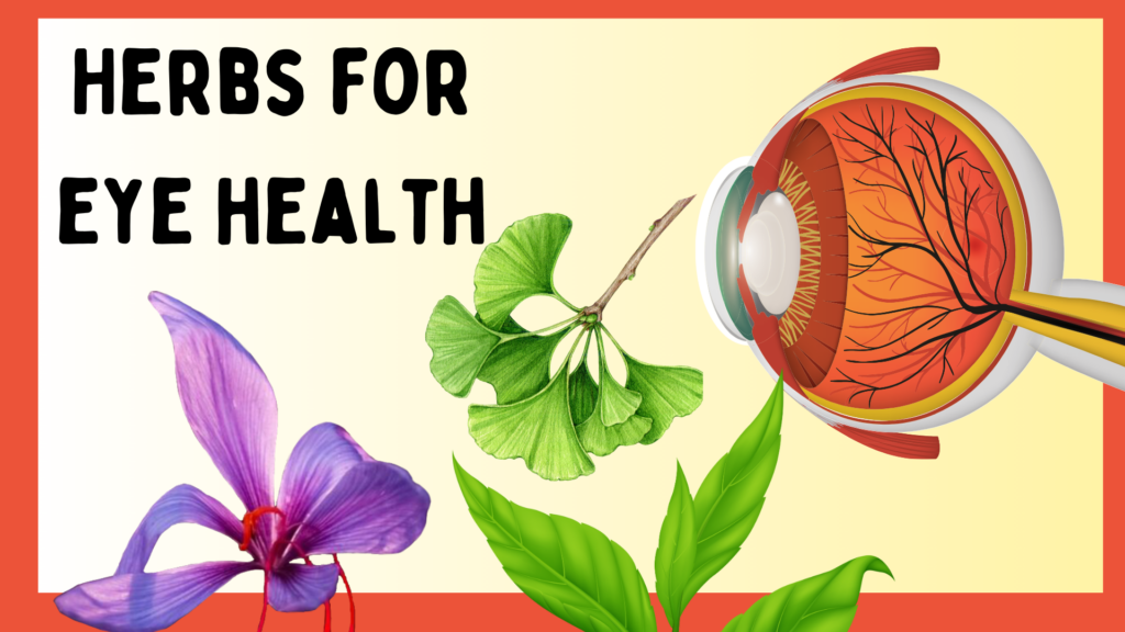 👁️”Herbal Solutions for Healthy Eyes: A Comprehensive Guide”