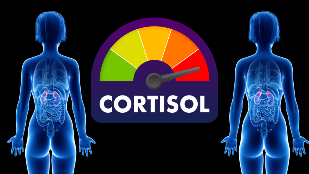 👩‍⚕️ Holistic Approach to Cortisol Management: Natural Remedies